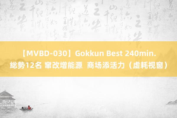 【MVBD-030】Gokkun Best 240min. 総勢12名 窜改增能源  商场添活力（虚耗视窗）