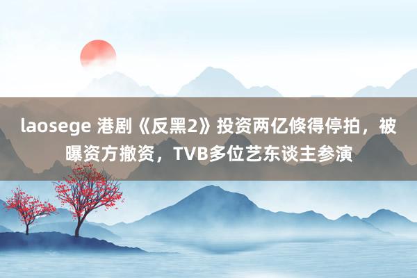 laosege 港剧《反黑2》投资两亿倏得停拍，被曝资方撤资，TVB多位艺东谈主参演