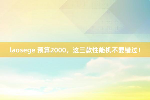 laosege 预算2000，这三款性能机不要错过！