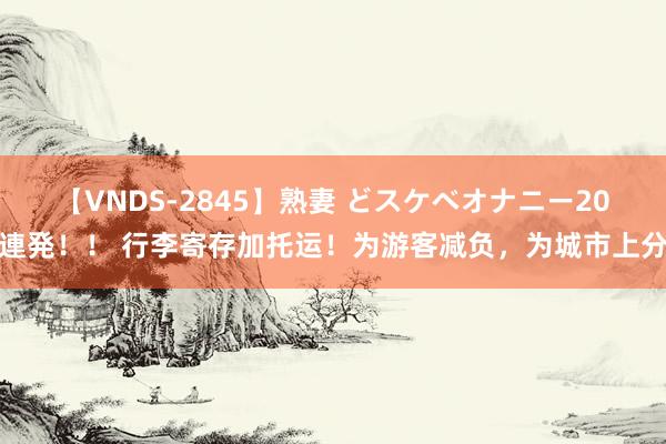 【VNDS-2845】熟妻 どスケベオナニー20連発！！ 行李寄存加托运！为游客减负，为城市上分