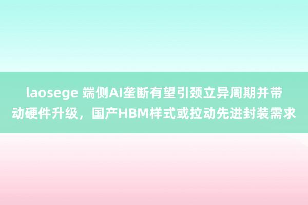 laosege 端侧AI垄断有望引颈立异周期并带动硬件升级，国产HBM样式或拉动先进封装需求