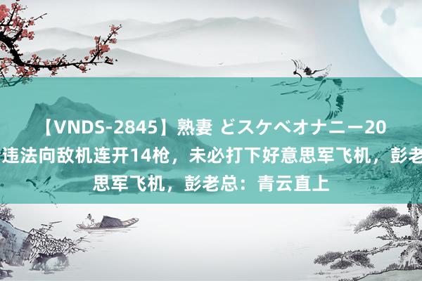 【VNDS-2845】熟妻 どスケベオナニー20連発！！ 战士违法向敌机连开14枪，未必打下好意思军飞机，彭老总：青云直上