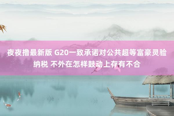 夜夜撸最新版 G20一致承诺对公共超等富豪灵验纳税 不外在怎样鼓动上存有不合