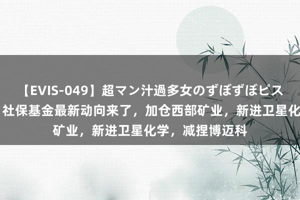 【EVIS-049】超マン汁過多女のずぼずぼピストンオナニー 3 社保基金最新动向来了，加仓西部矿业，新进卫星化学，减捏博迈科