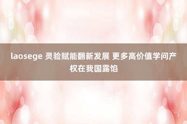 laosege 灵验赋能翻新发展 更多高价值学问产权在我国露馅