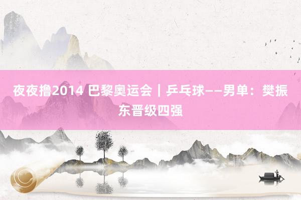 夜夜撸2014 巴黎奥运会｜乒乓球——男单：樊振东晋级四强