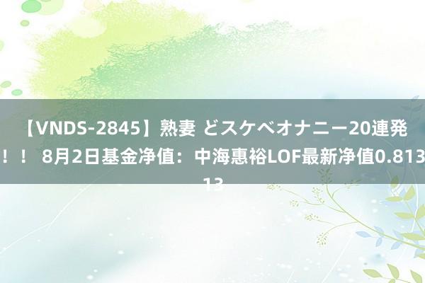 【VNDS-2845】熟妻 どスケベオナニー20連発！！ 8月2日基金净值：中海惠裕LOF最新净值0.813