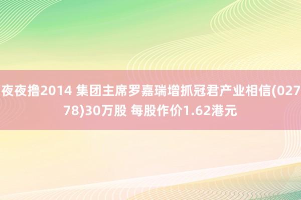 夜夜撸2014 集团主席罗嘉瑞增抓冠君产业相信(02778)30万股 每股作价1.62港元