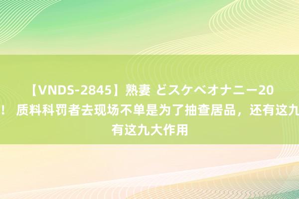 【VNDS-2845】熟妻 どスケベオナニー20連発！！ 质料科罚者去现场不单是为了抽查居品，还有这九大作用