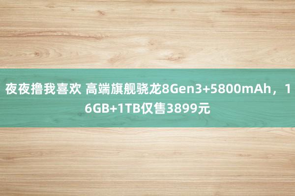 夜夜撸我喜欢 高端旗舰骁龙8Gen3+5800mAh，16GB+1TB仅售3899元