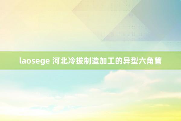 laosege 河北冷拔制造加工的异型六角管