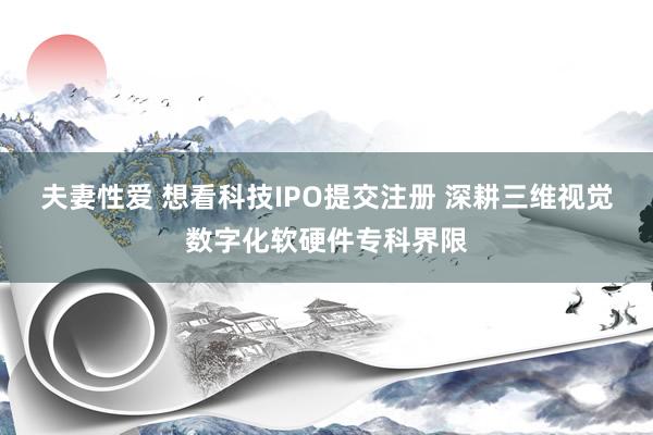 夫妻性爱 想看科技IPO提交注册 深耕三维视觉数字化软硬件专科界限