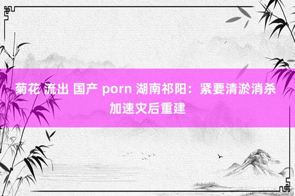 菊花 流出 国产 porn 湖南祁阳：紧要清淤消杀 加速灾后重建