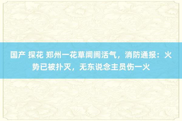 国产 探花 郑州一花草阛阓活气，消防通报：火势已被扑灭，无东说念主员伤一火