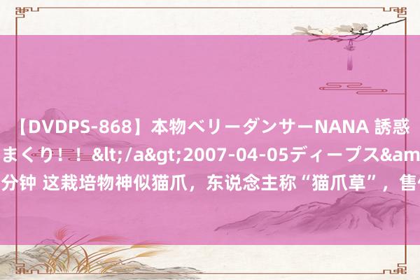 【DVDPS-868】本物ベリーダンサーNANA 誘惑の腰使いで潮吹きまくり！！</a>2007-04-05ディープス&$DEEP’S117分钟 这栽培物神似猫爪，东说念主称“猫爪草”，售价高达300元/斤！碰到它，你就赚大了！