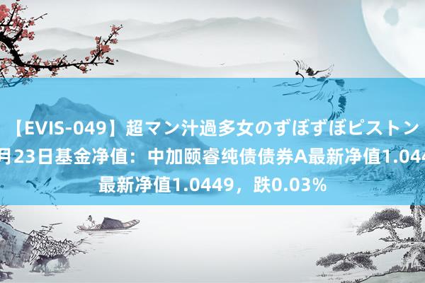 【EVIS-049】超マン汁過多女のずぼずぼピストンオナニー 3 8月23日基金净值：中加颐睿纯债债券A最新净值1.0449，跌0.03%