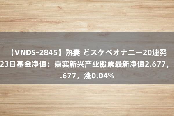 【VNDS-2845】熟妻 どスケベオナニー20連発！！ 8月23日基金净值：嘉实新兴产业股票最新净值2.677，涨0.04%