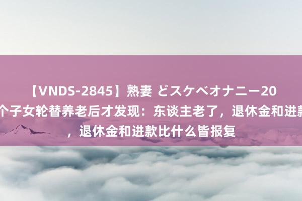 【VNDS-2845】熟妻 どスケベオナニー20連発！！ 被三个子女轮替养老后才发现：东谈主老了，退休金和进款比什么皆报复