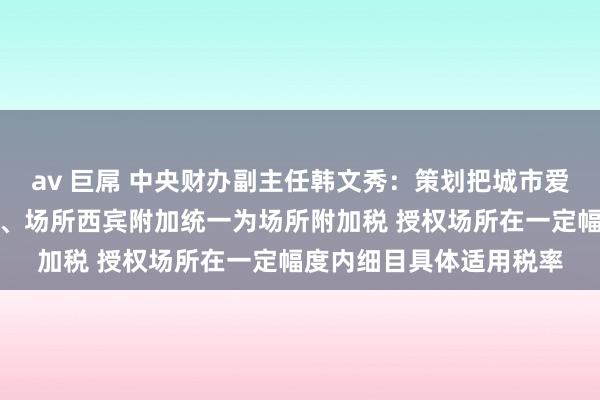 av 巨屌 中央财办副主任韩文秀：策划把城市爱戴建造税、西宾费附加、场所西宾附加统一为场所附加税 授权场所在一定幅度内细目具体适用税率