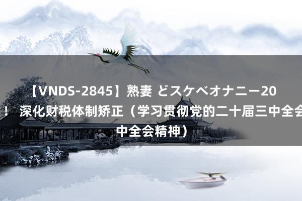 【VNDS-2845】熟妻 どスケベオナニー20連発！！ 深化财税体制矫正（学习贯彻党的二十届三中全会精神）