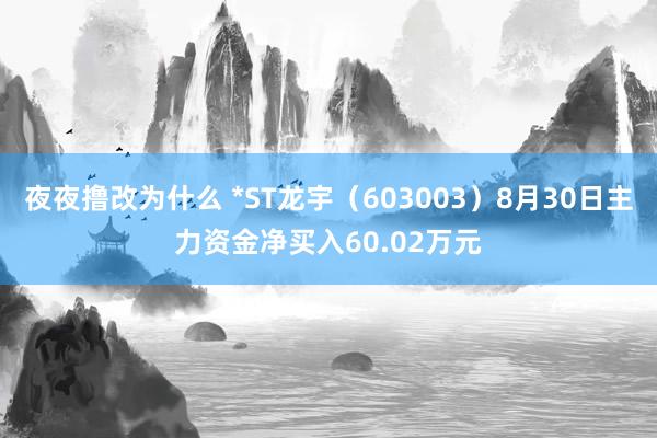 夜夜撸改为什么 *ST龙宇（603003）8月30日主力资金净买入60.02万元