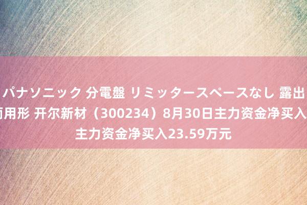 パナソニック 分電盤 リミッタースペースなし 露出・半埋込両用形 开尔新材（300234）8月30日主力资金净买入23.59万元