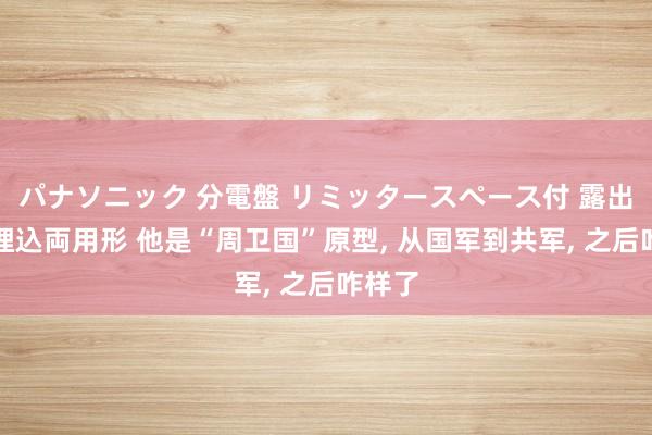 パナソニック 分電盤 リミッタースペース付 露出・半埋込両用形 他是“周卫国”原型， 从国军到共军， 之后咋样了