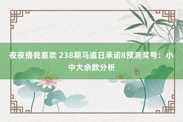 夜夜撸我喜欢 238期马追日承诺8预测奖号：小中大余数分析