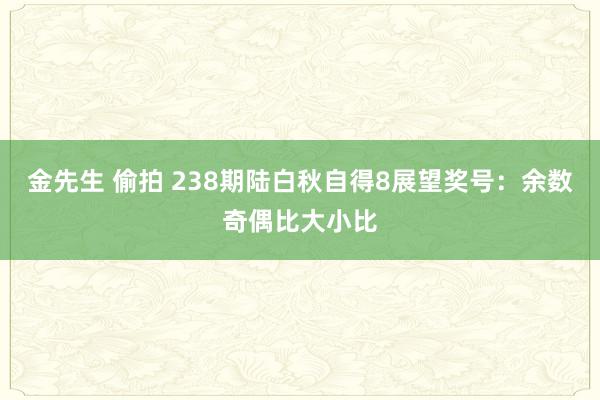 金先生 偷拍 238期陆白秋自得8展望奖号：余数奇偶比大小比