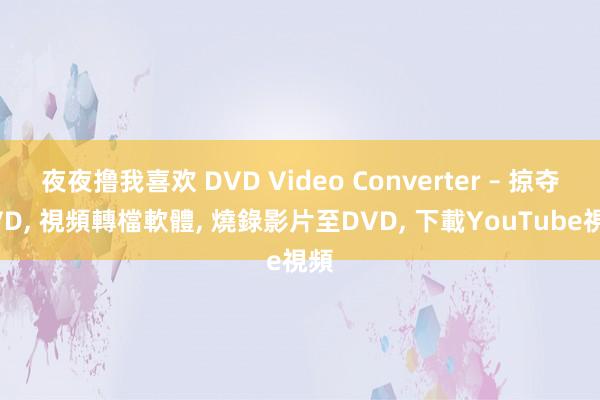 夜夜撸我喜欢 DVD Video Converter – 掠夺DVD， 視頻轉檔軟體， 燒錄影片至DVD， 下載YouTube視頻