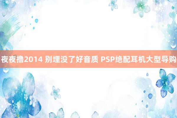 夜夜撸2014 别埋没了好音质 PSP绝配耳机大型导购