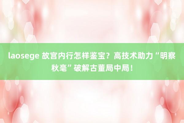 laosege 故宫内行怎样鉴宝？高技术助力“明察秋毫”破解古董局中局！