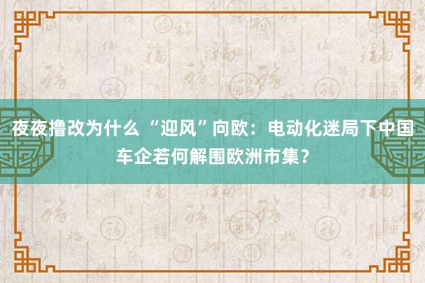 夜夜撸改为什么 “迎风”向欧：电动化迷局下中国车企若何解围欧洲市集？